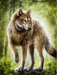 Картина стразами "Волк" 40*50 (№GX0437) ― Джессика