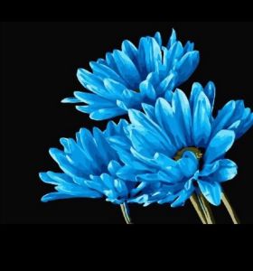 Картина по номерам "Синие цветы" (40*50) ― Джессика