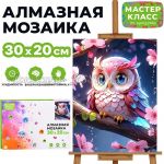 Алмазная мозаика 30*20 см   